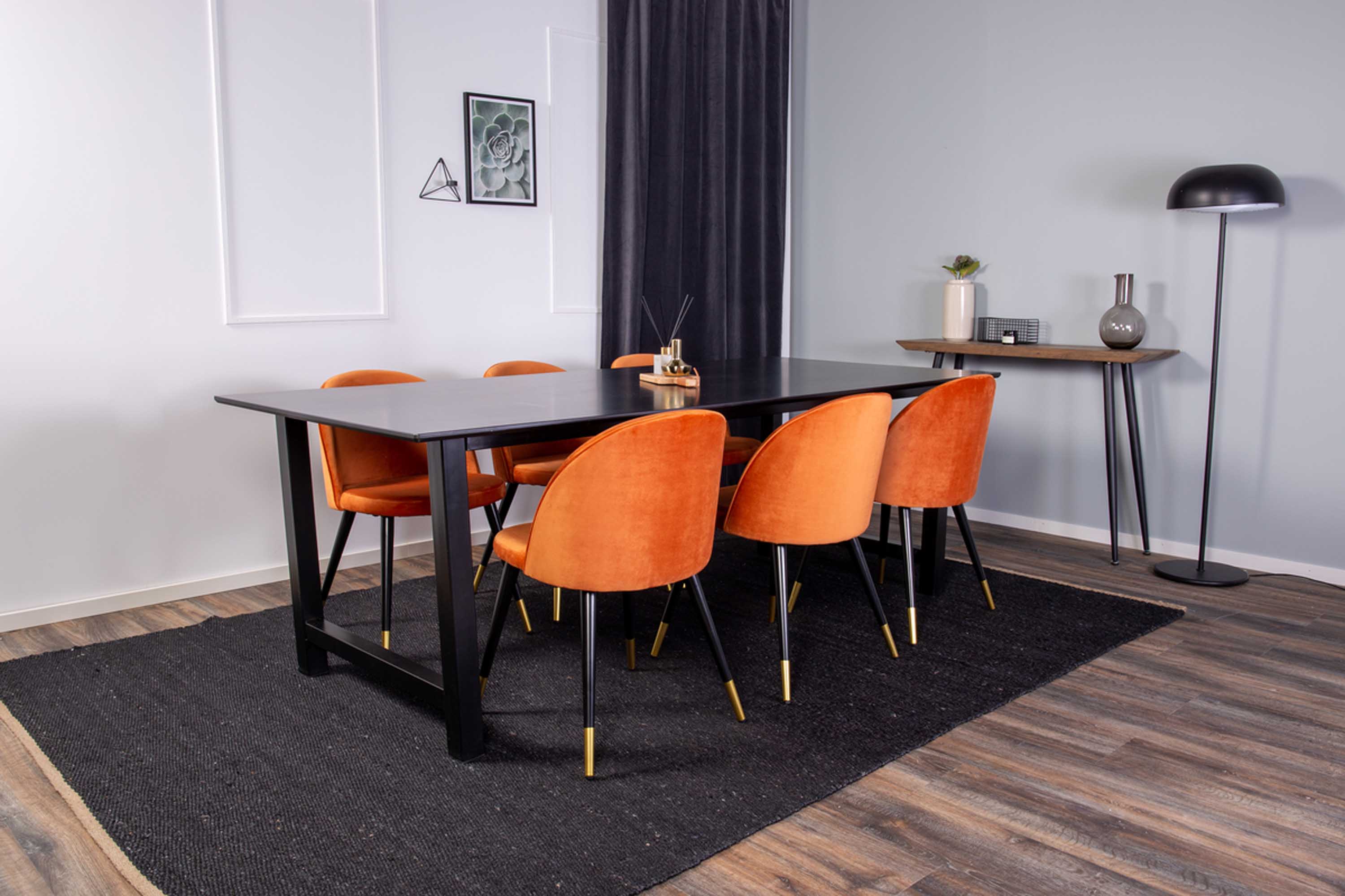 velvet-venture-design